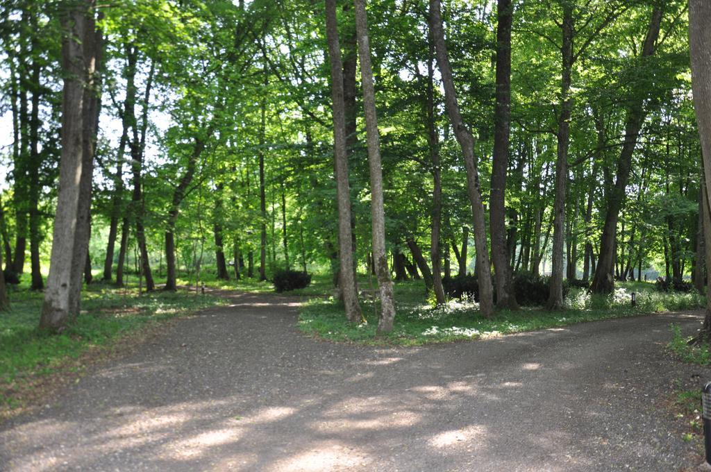 La Maison Du Parc Argilly Zewnętrze zdjęcie